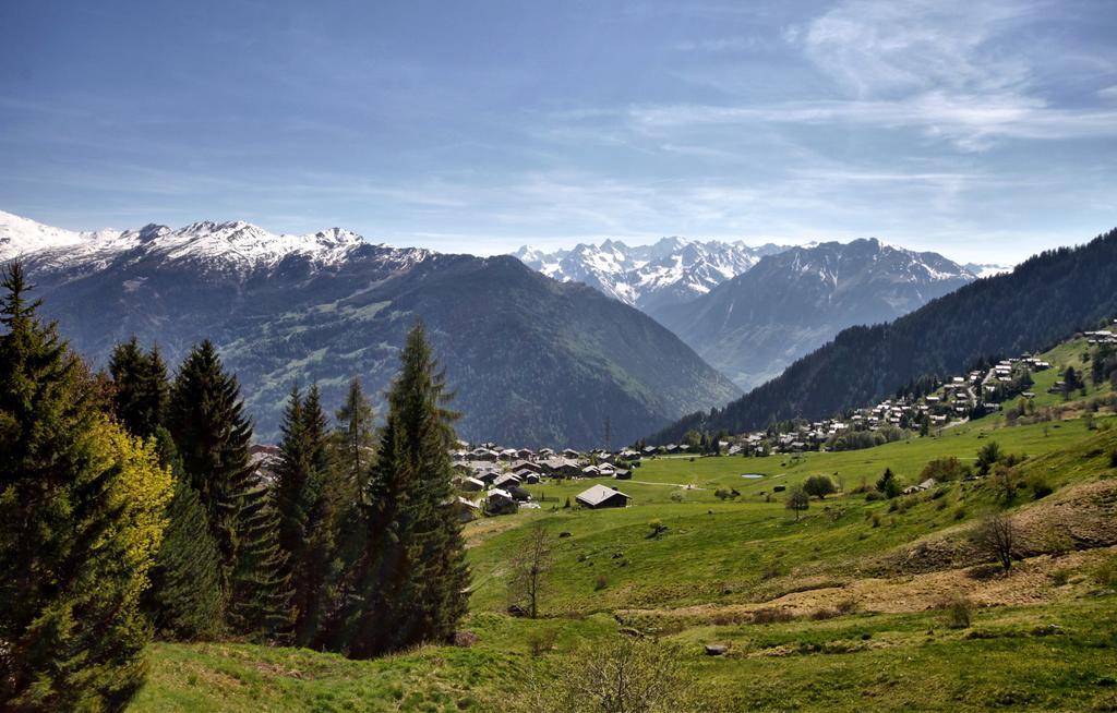 Fouquet 1Er Villa Verbier Cameră foto